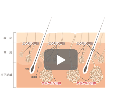 二層照射のイメージアニメーション