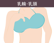 レーザートーニングの適応部位1:乳輪・乳頭